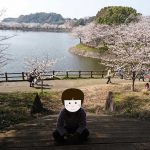 「加藤清正の築造・立岡(たちおか)池に映える立岡自然公園の桜|熊本・宇土市」くまとR子の子育て日記(149日目)
