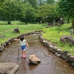 「【水遊び】大津町の穴場、矢護川公園|まるで諸星大二郎のマンガに出てきそうな初生(うぶ)神社」くまとR子の子育て日記(183日目)